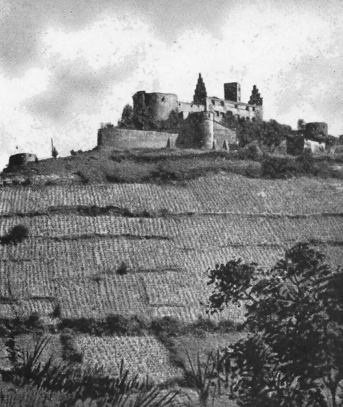 Die Trimburg von Südwesten. Romanischer Bergfried mit Schildmauer. Wohnbauten aus der Echterzeit um 1615.